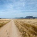 DMC-SZ10 | 4mm | 1/400s | f7.8 | ISO 100